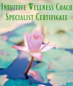 Intuitive Wellness Coach Specialist Certificate