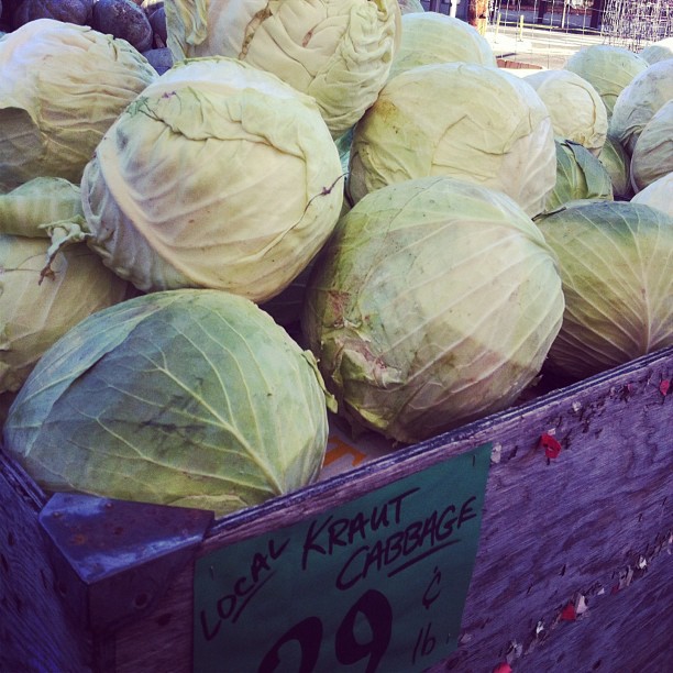 cabbage soup for inflammation