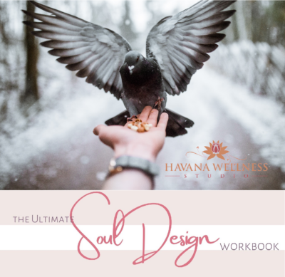 The Ultimate Soul Design Workbook