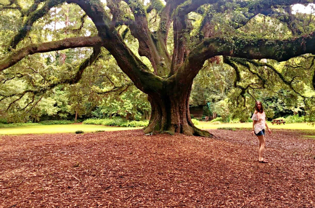 lichgate Tallahassee
