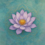 essential soul care model